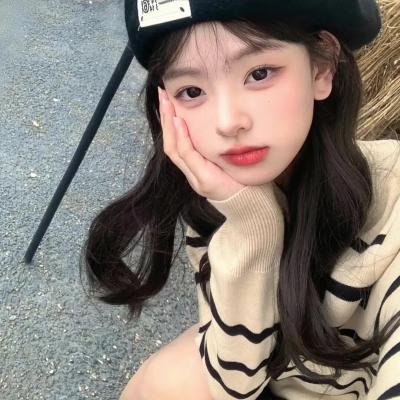 泰迪熊